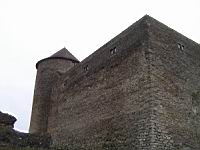 Amberieu en Bugey, Chateau des Allymes (04)